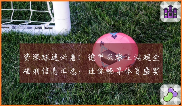 资深球迷必看：德甲买球主站超全福利信息汇总，让你畅享体育盛宴