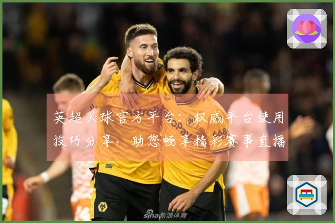 英超买球官方平台：权威平台使用技巧分享，助您畅享精彩赛事直播体验