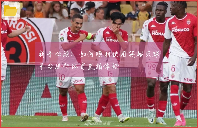 新手必读：如何顺利使用英超买球平台进行体育直播体验