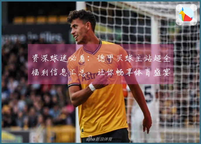 资深球迷必看：德甲买球主站超全福利信息汇总，让你畅享体育盛宴