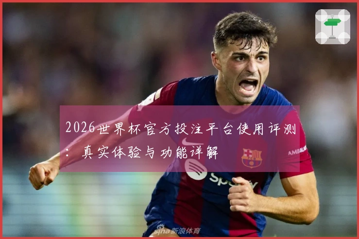 2026世界杯官方投注平台使用评测：真实体验与功能详解