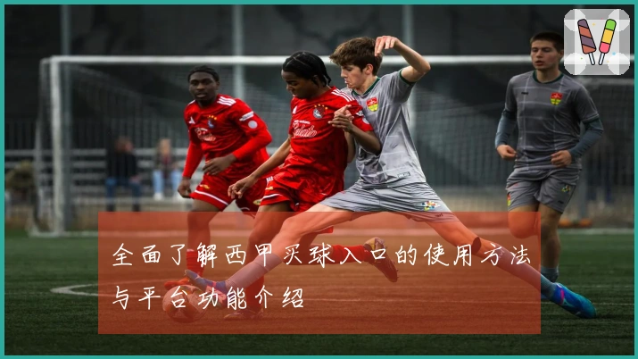 全面了解西甲买球入口的使用方法与平台功能介绍