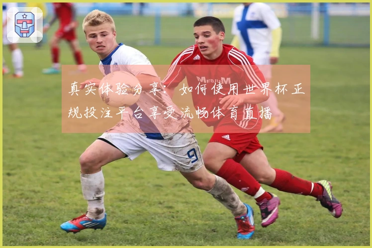 真实体验分享：如何使用世界杯正规投注平台享受流畅体育直播
