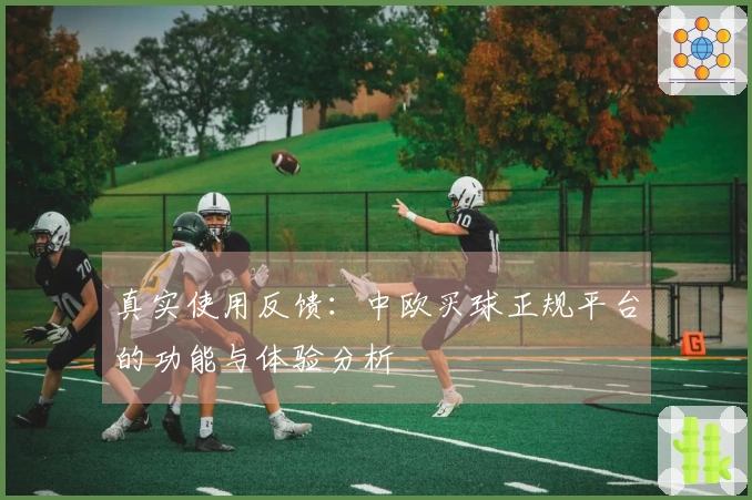 真实使用反馈：中欧买球正规平台的功能与体验分析
